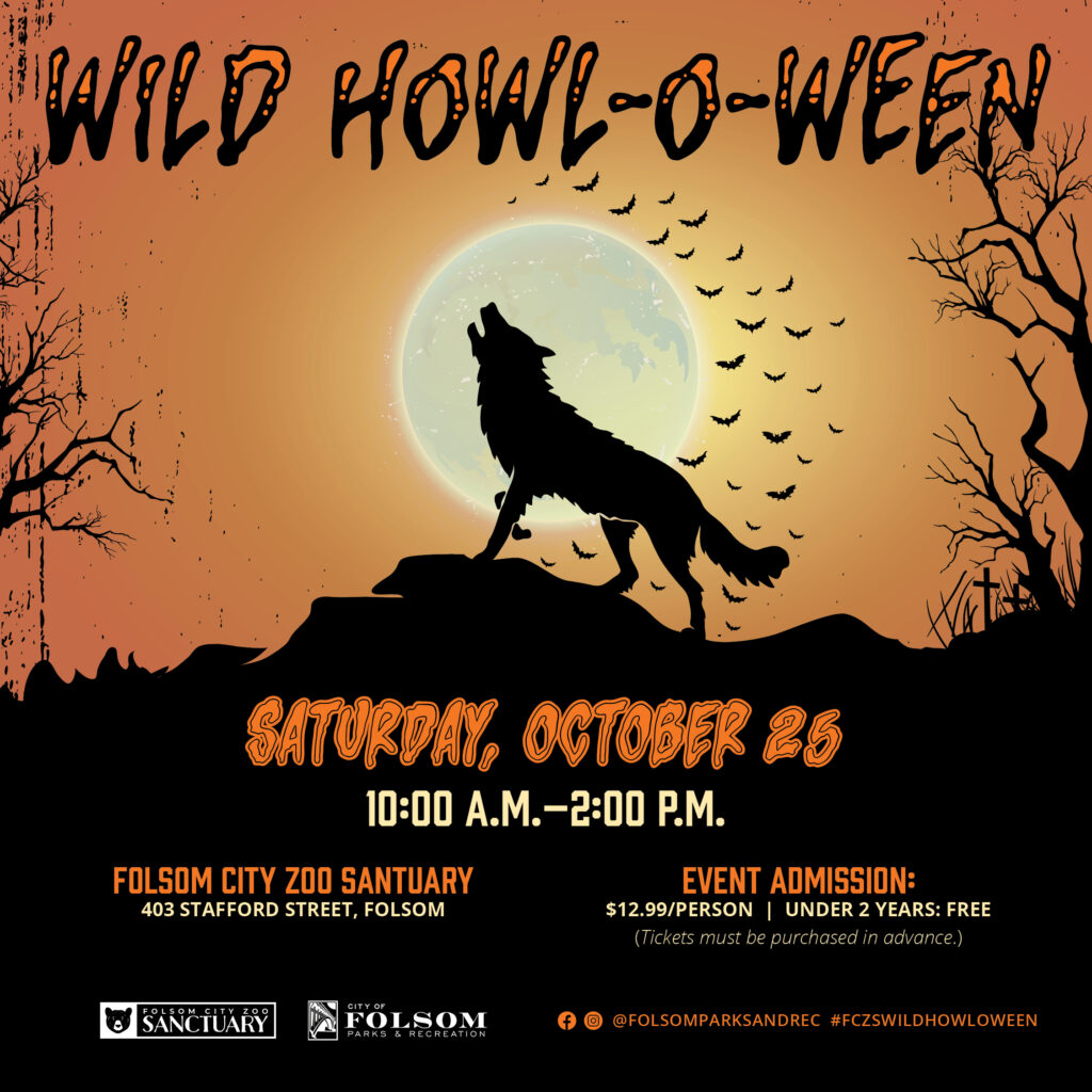 One-Day, Two-Stop Halloween Itineraries (No Meltdowns Required)